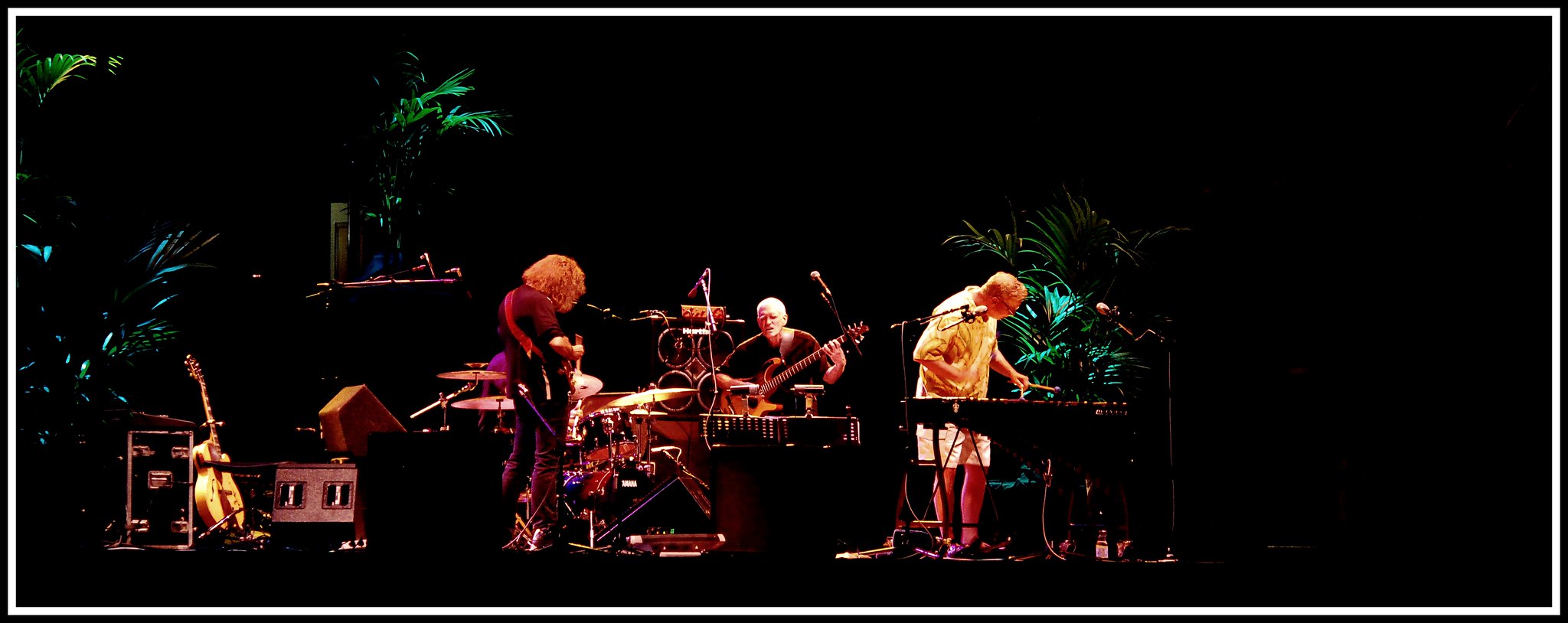 Foto dallo stage di un concerto