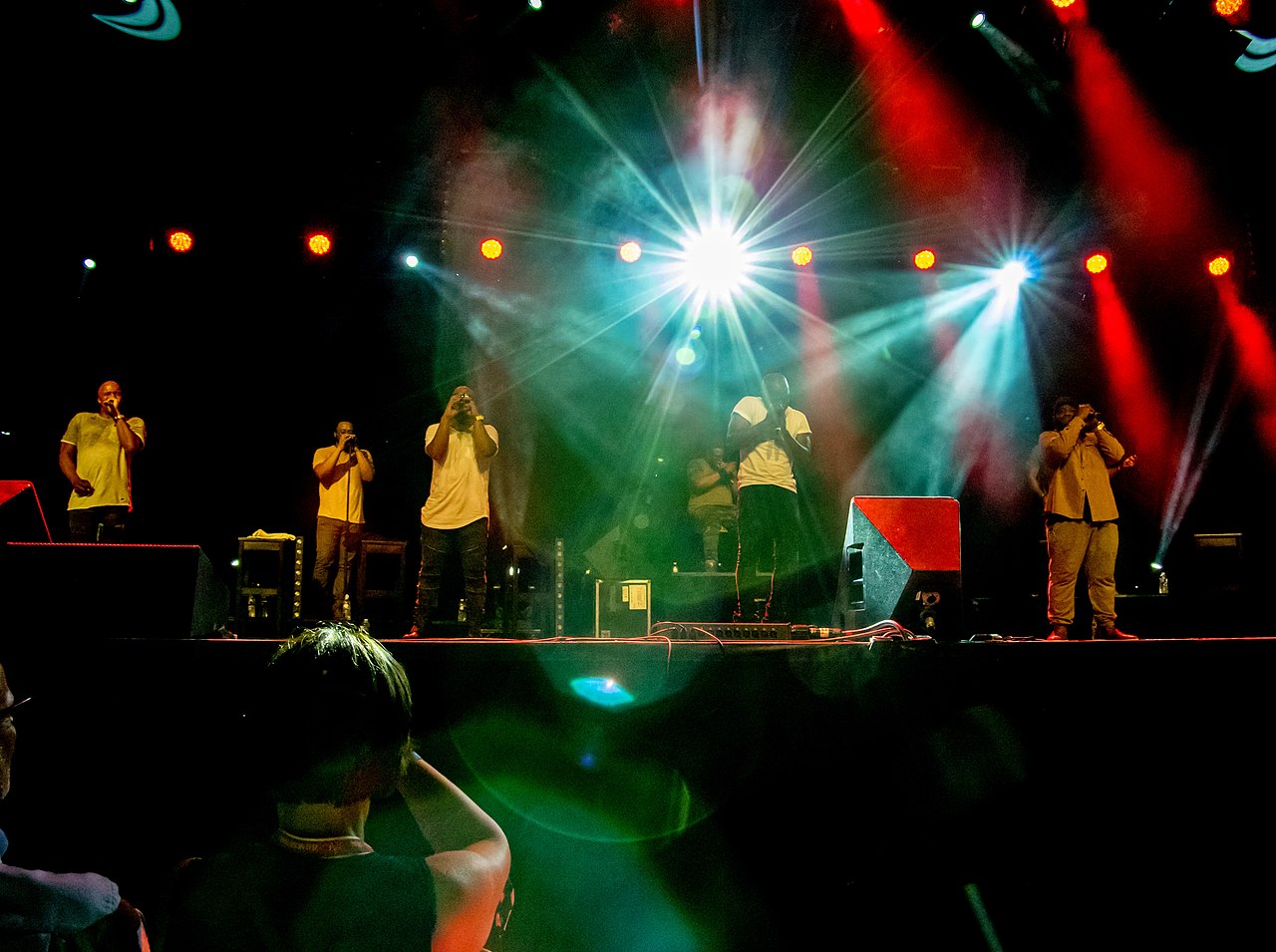 Il gruppo in concerto